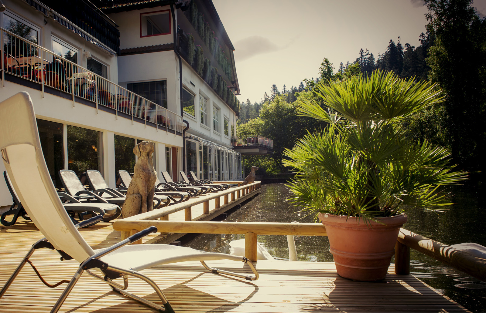 Liegeterrasse - Hotel Langenwaldsee, Freudenstadt