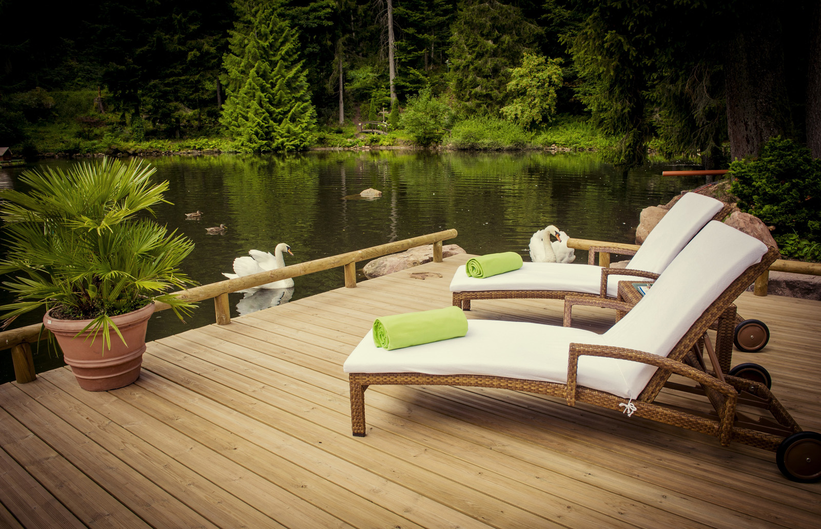 Liegeterrasse - Hotel Langenwaldsee, Freudenstadt